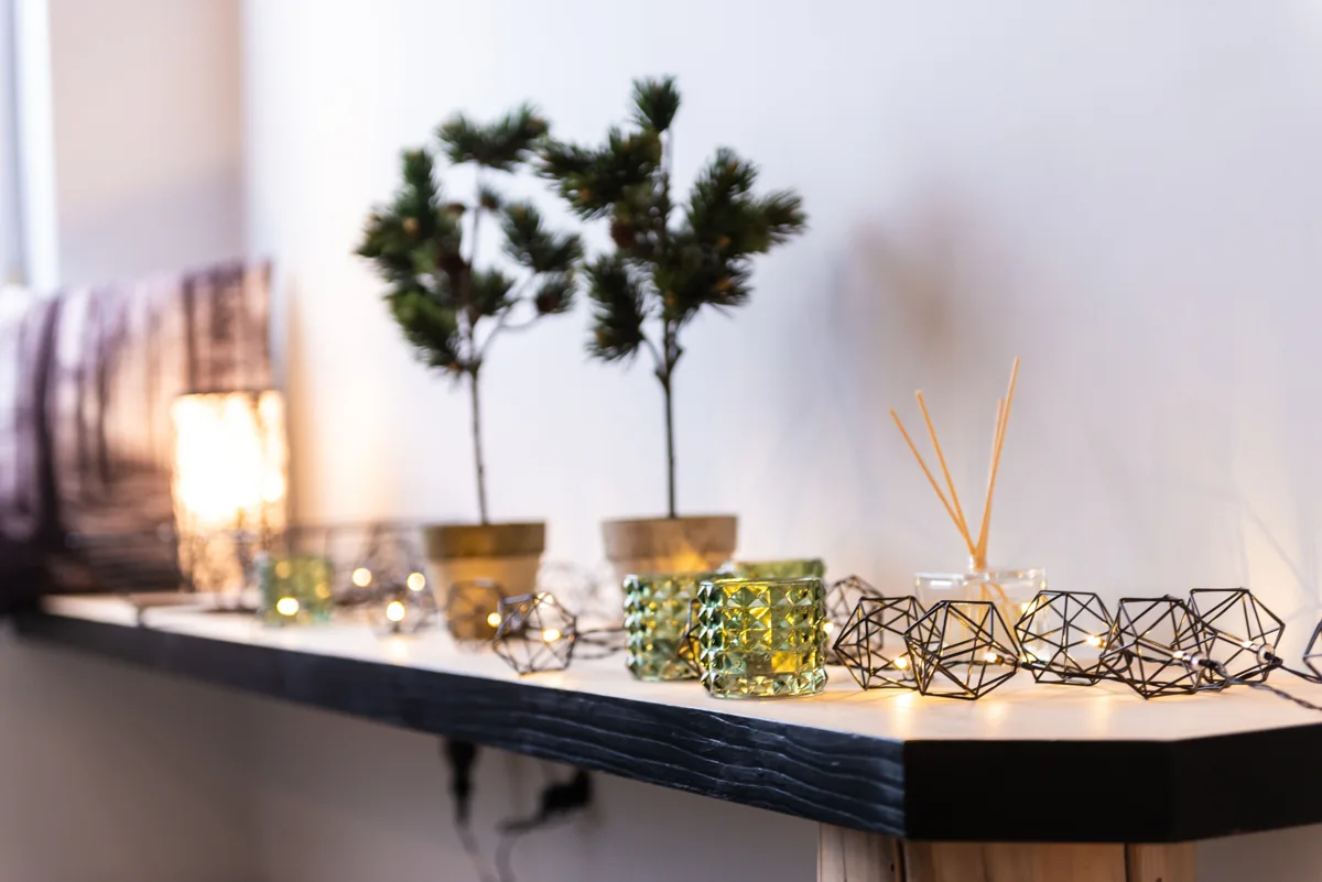 Rośliny i dekoracje we wnętrzu